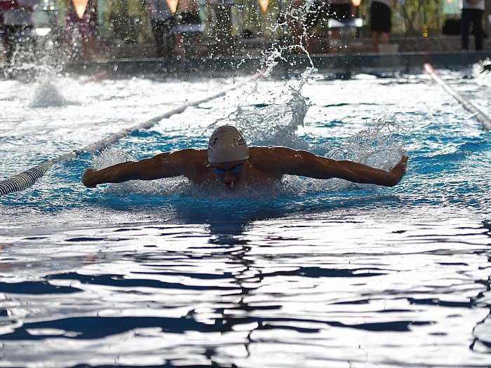 _bwbochum/medien/Schwimmen/Schwimmen_Fotos-2019/DMS-2019_02_09-Schmetterling_30.jpg