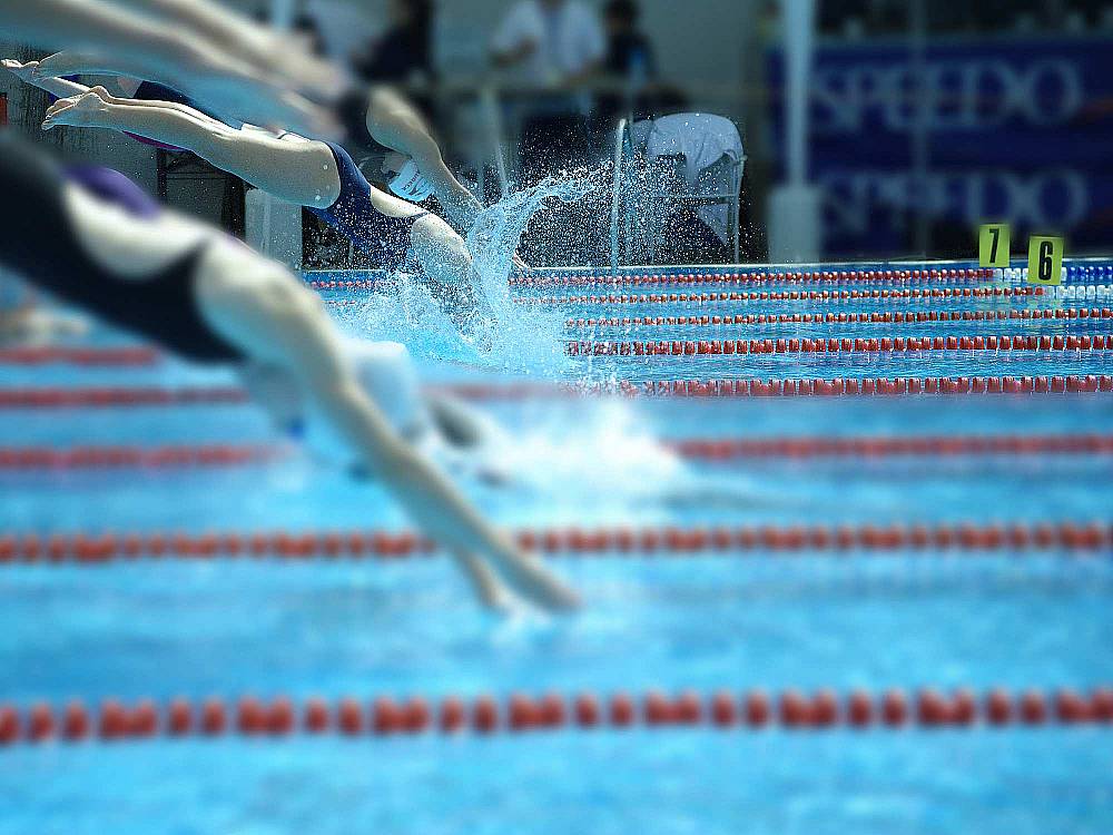 Schwimmer springen vom Startblock